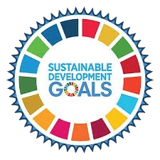UNSDG Logo