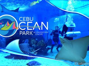 Cebu Ocean Park