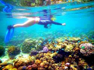 Mactan Island Hopping Tour 1